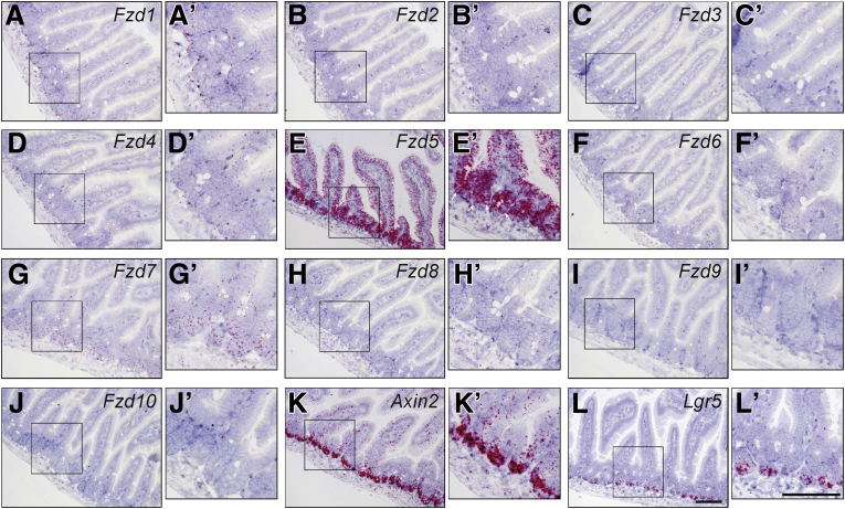 Figure 3