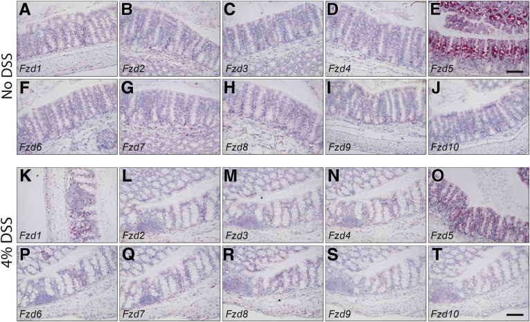 Figure 6