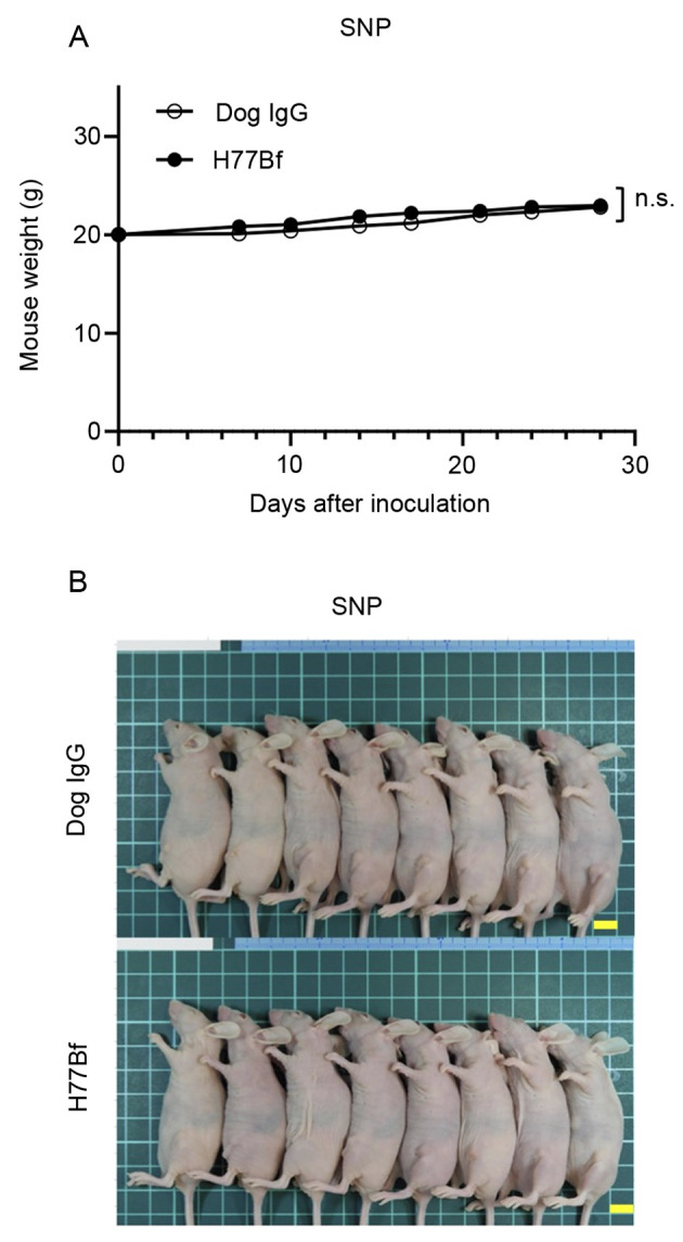 Figure 7.