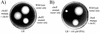 FIG. 3.