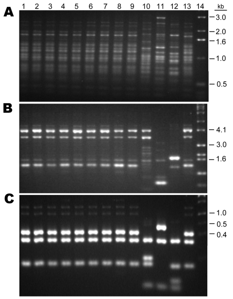 Figure 6