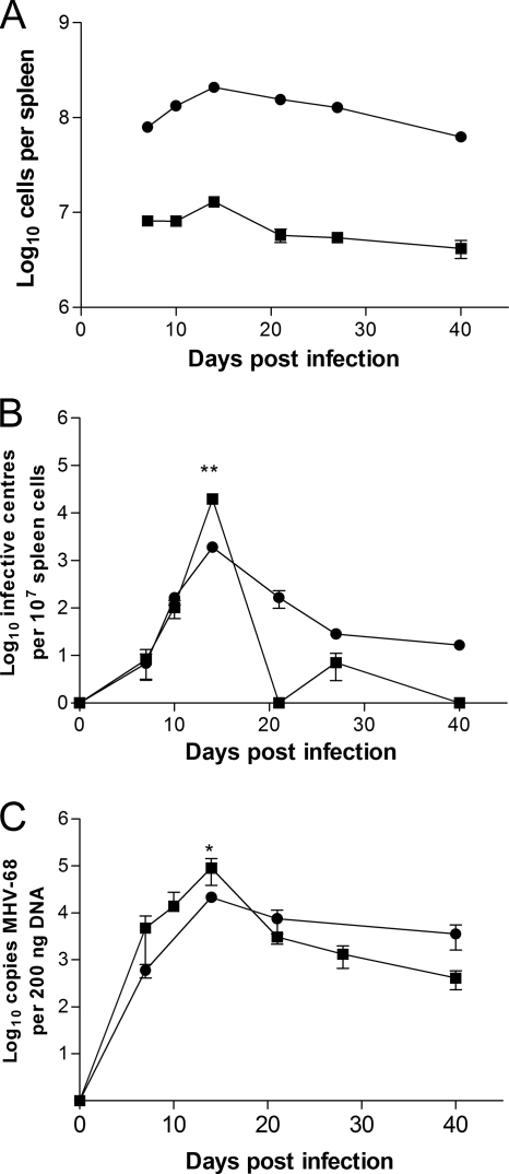 FIG. 4.