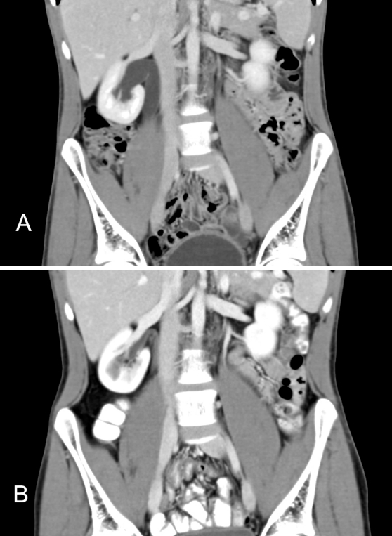 Fig. 5.