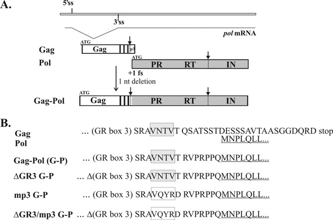 Fig 1