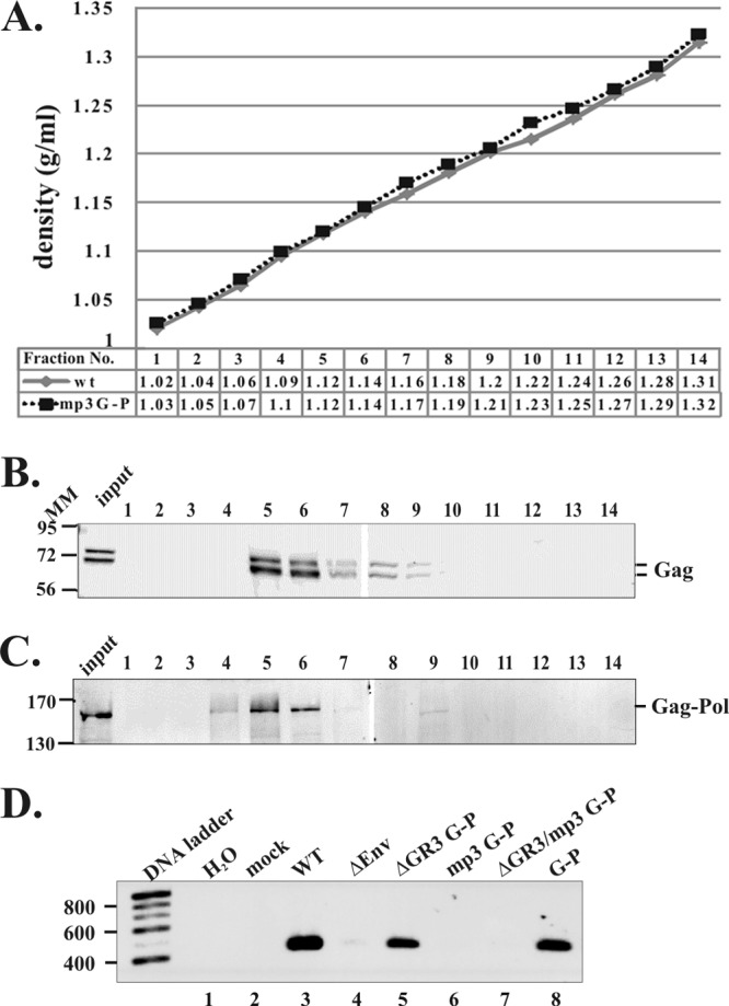 Fig 6