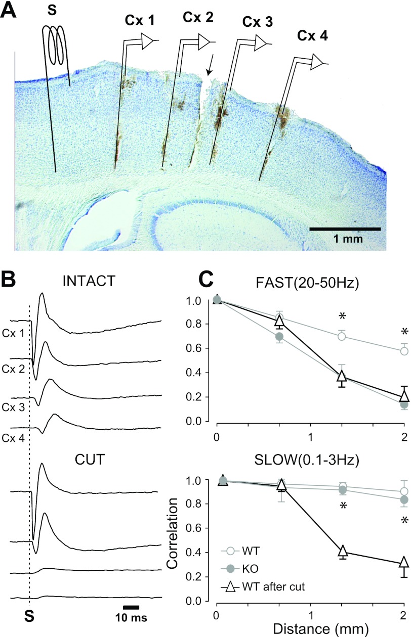 Fig. 4.