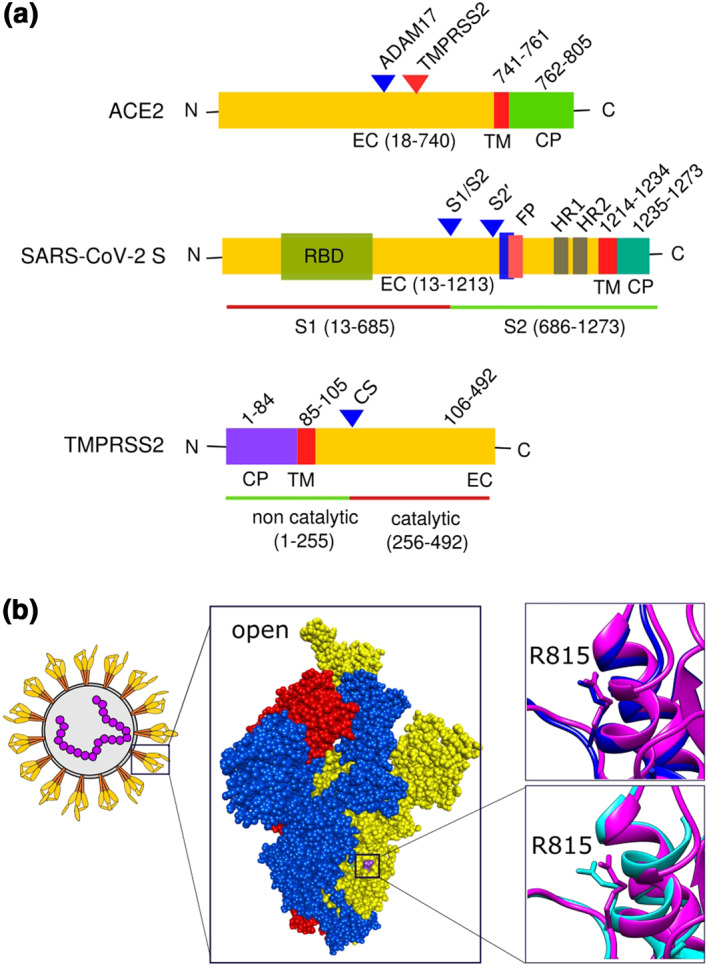 FIGURE 2