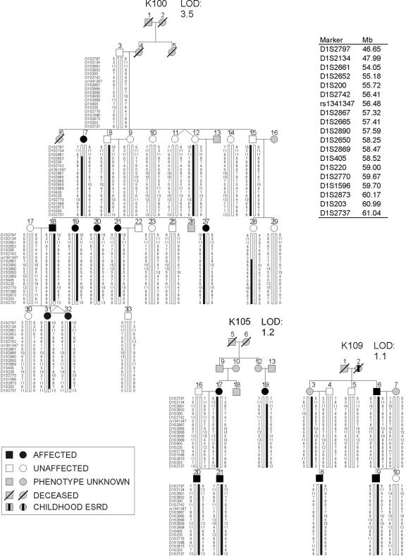 Figure  4. 