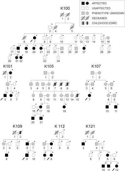 Figure  1. 