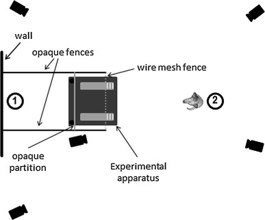 Fig. 1