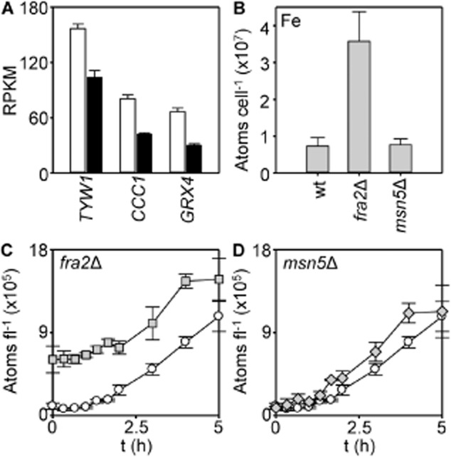 Fig. 10