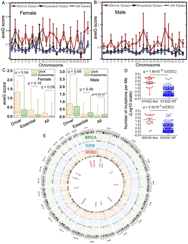 Fig 6