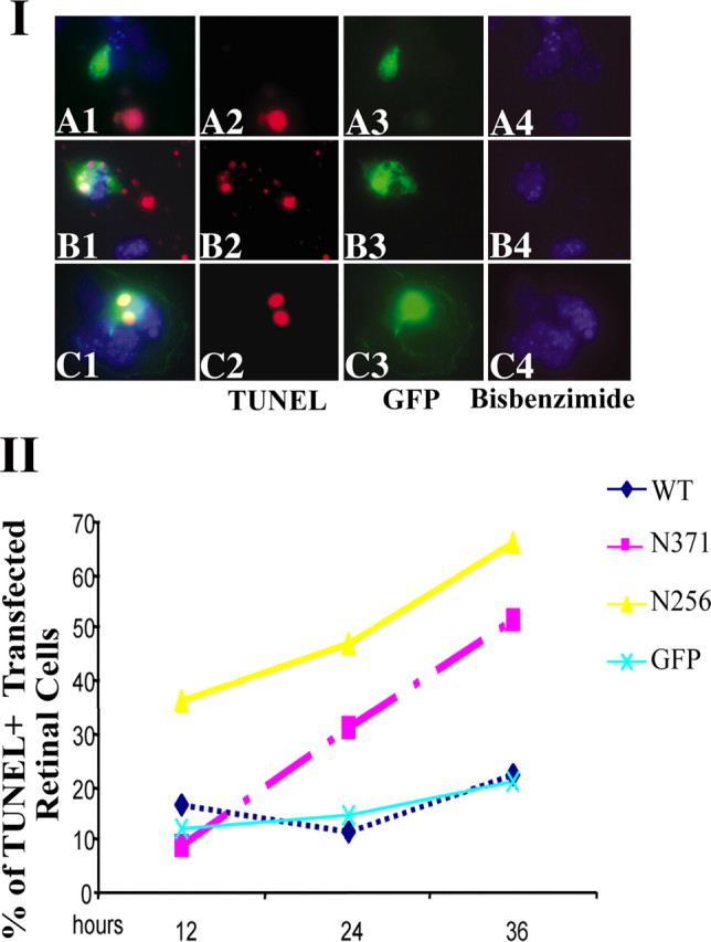 
Figure 9.
