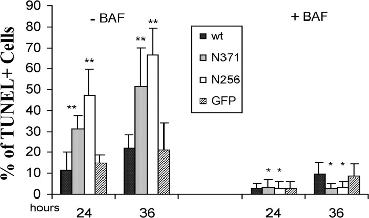 
Figure 10.
