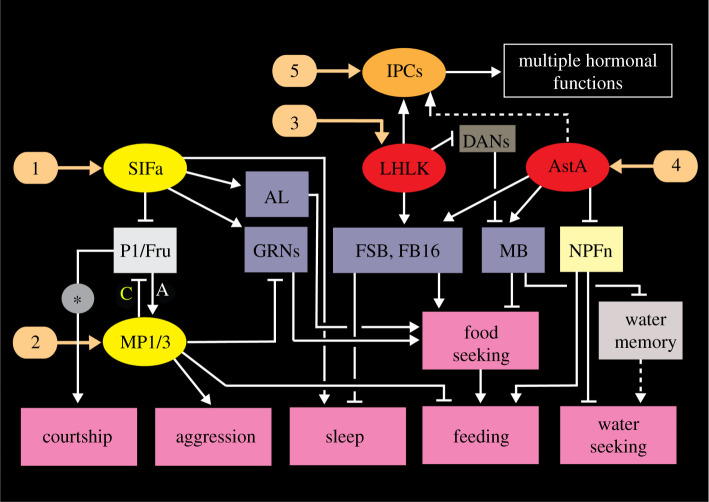 Figure 10. 