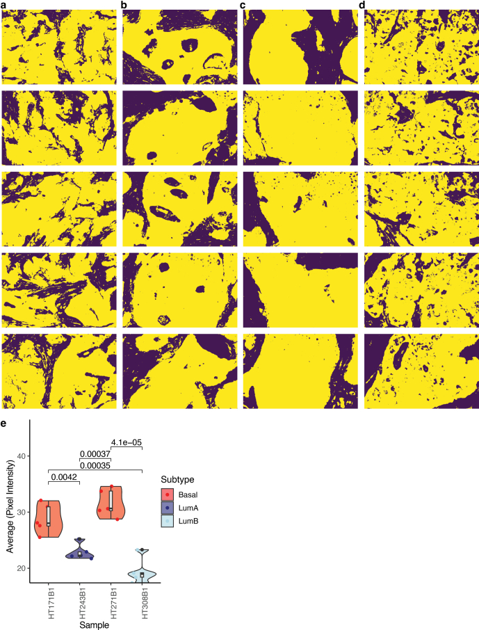 Extended Data Fig. 10