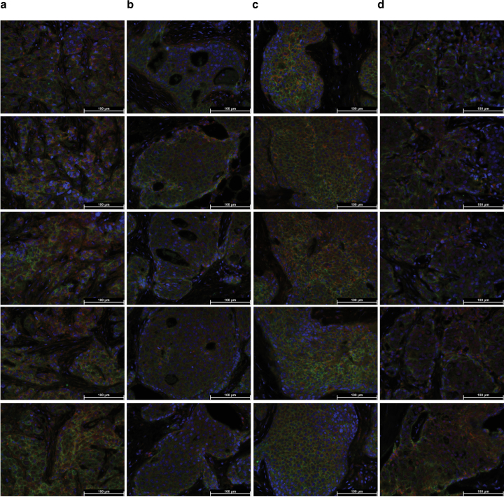 Extended Data Fig. 9