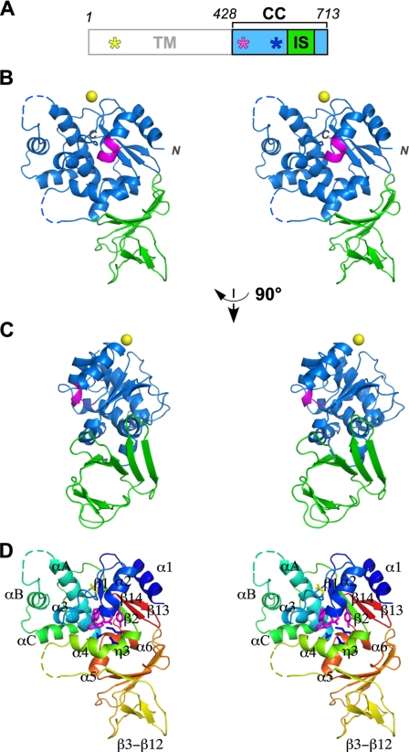 FIGURE 1.