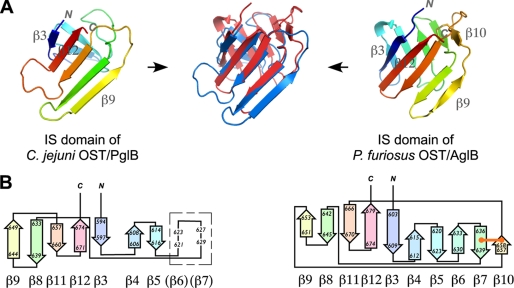 FIGURE 3.