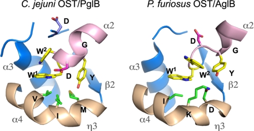 FIGURE 4.