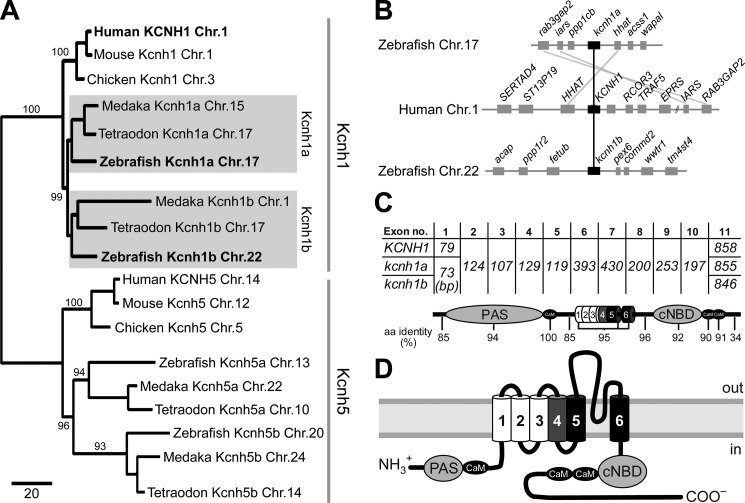 FIGURE 1.