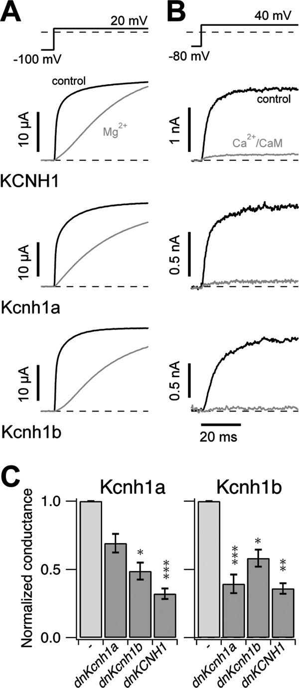 FIGURE 3.