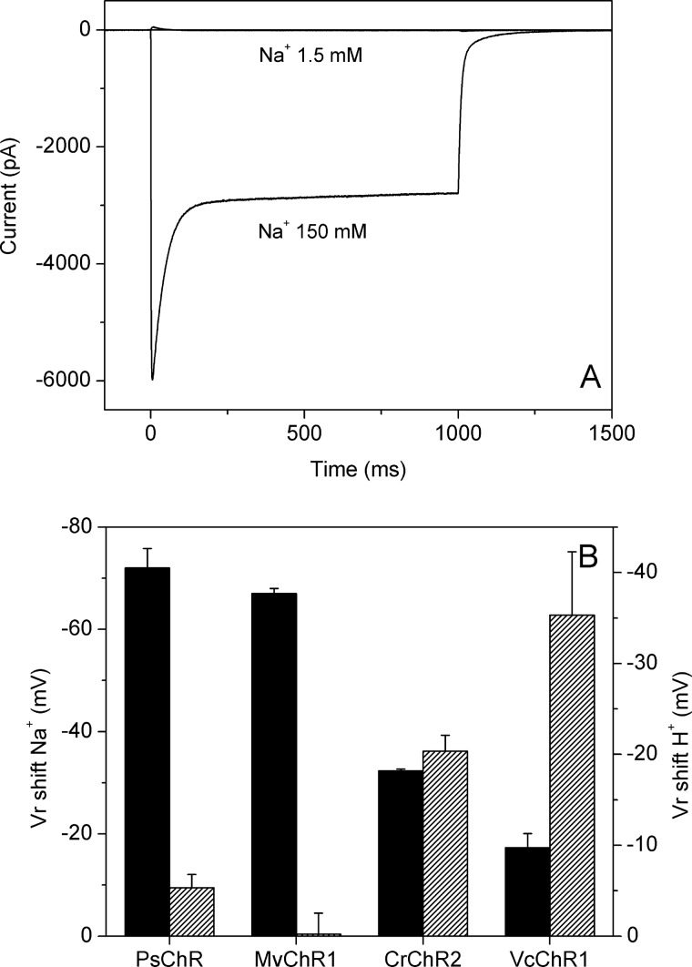 FIGURE 5.