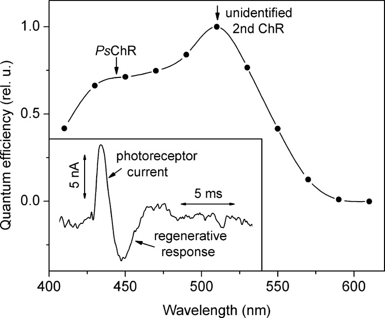 FIGURE 1.