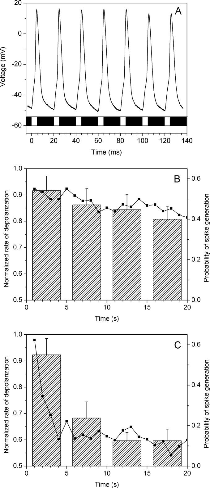 FIGURE 9.