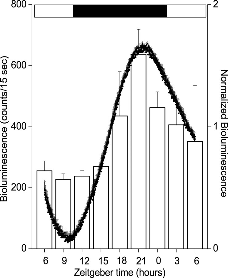 Fig. 3.