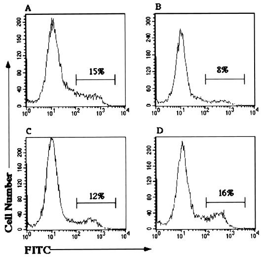 FIG. 1