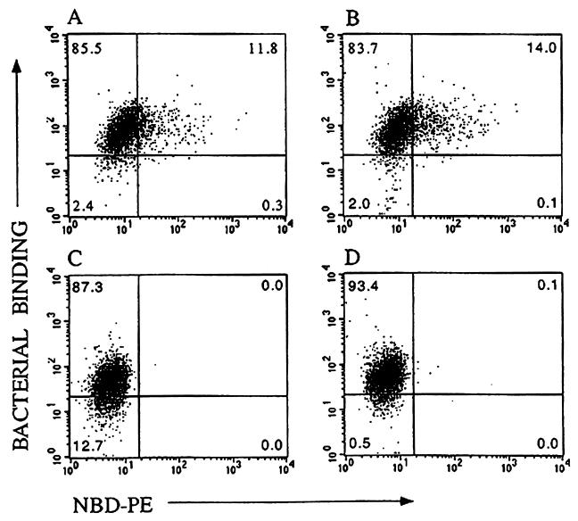 FIG. 6