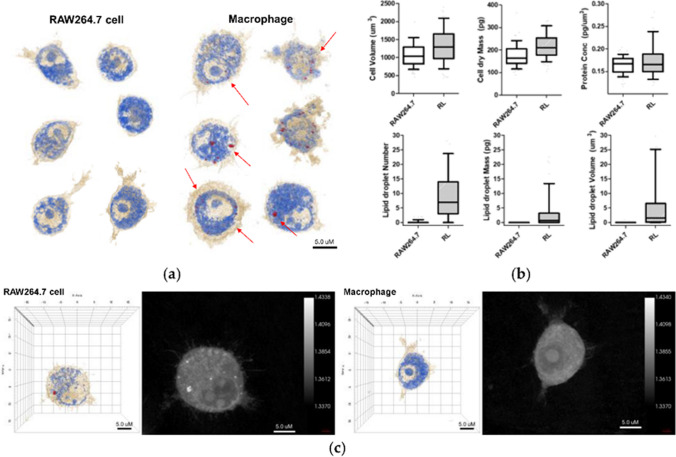 Fig. 9