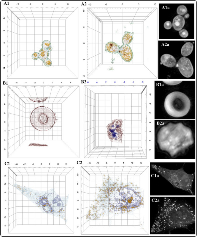 Fig. 4