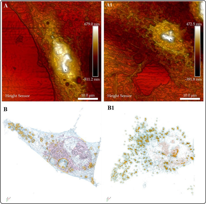 Fig. 10