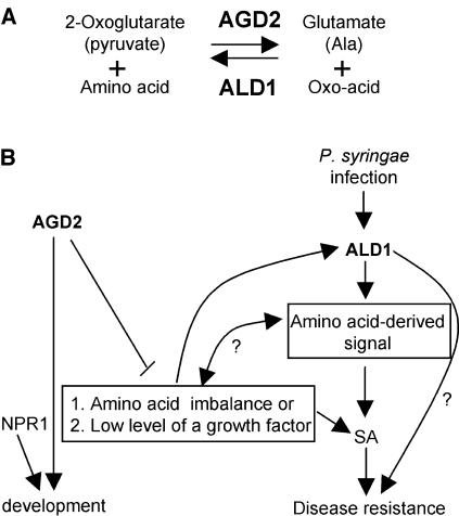 Figure 7.