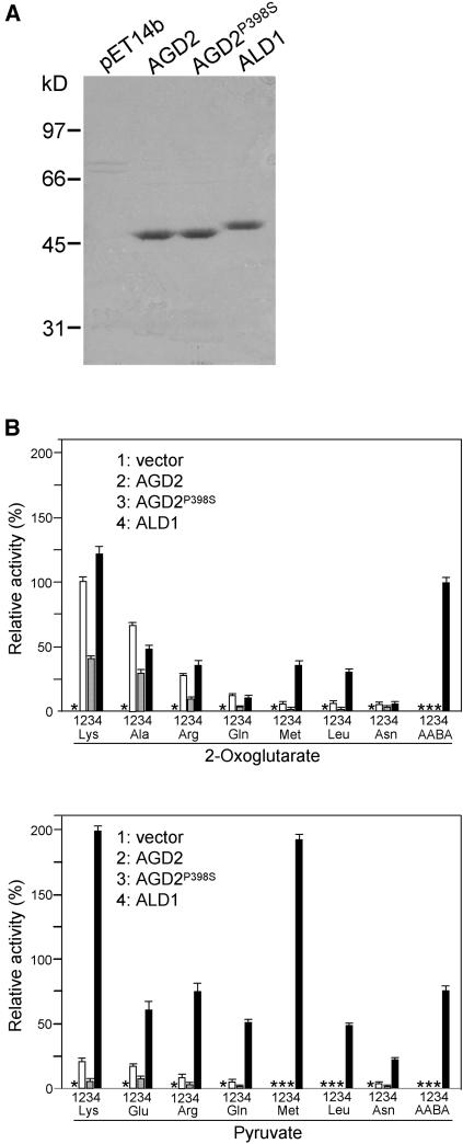 Figure 6.