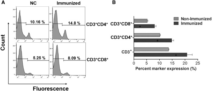 Figure 5