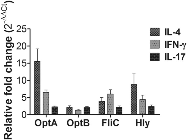 Figure 6