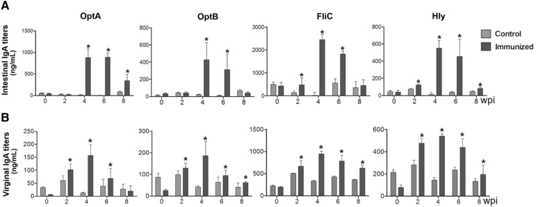 Figure 3