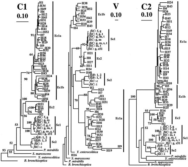 FIG. 2.