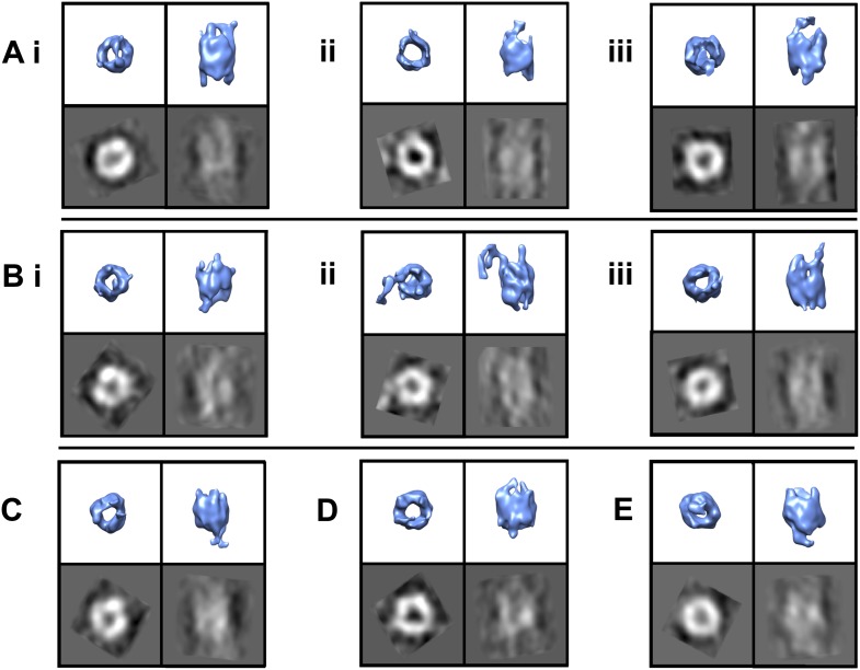 Figure 3.