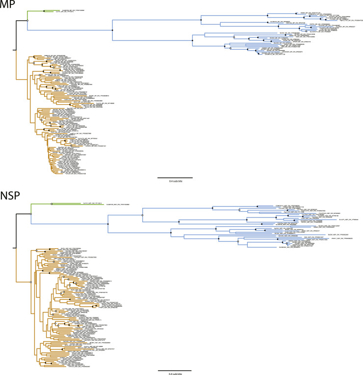 Fig 2: