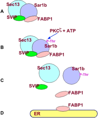 Fig. 10.