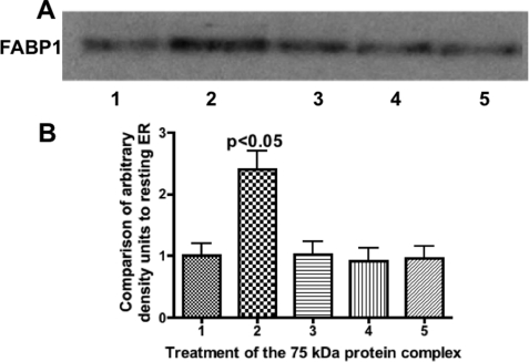 Fig. 9.