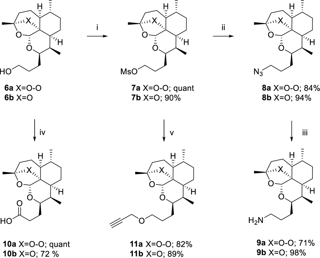 Scheme 3.