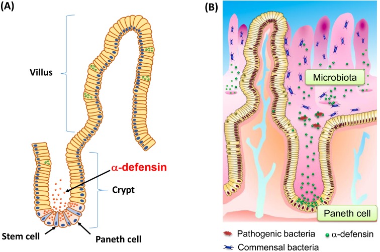 Fig. 1.