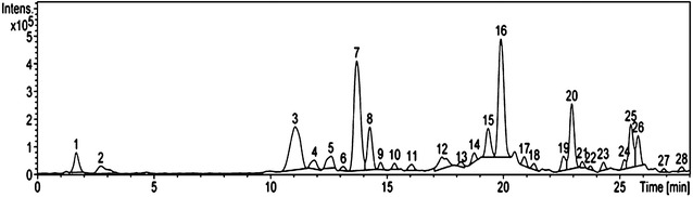 Fig. 1