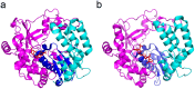 Figure 6.
