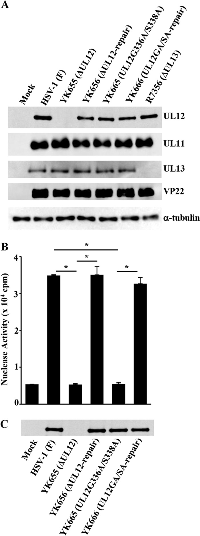 FIG 1